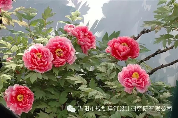 1615451117124835.jpg 640.webp (15).jpg